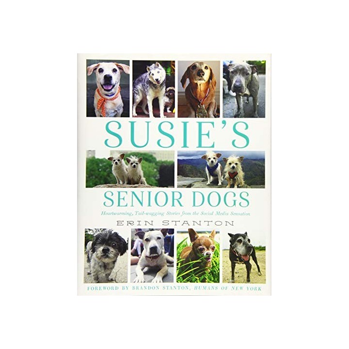 Susies Senior Dogs - Erin Stanton